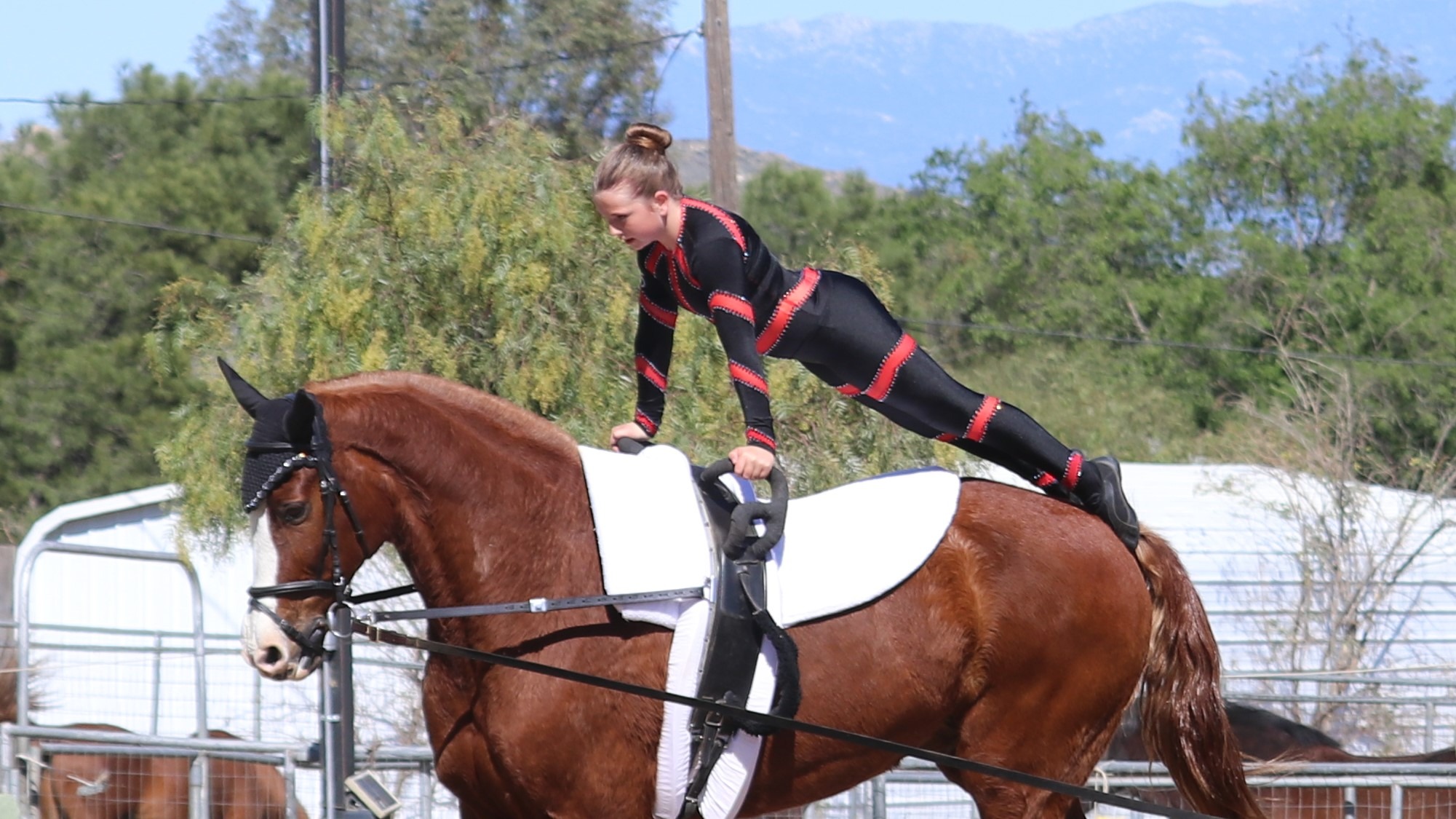 Roro competing at a vaulting competition in ContenderWear